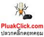บริษัทกำจัดปลวกเมืองสงขลา