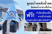 ดูแลบ้านหลังน้ำลด ฉีดพ่นน้ำยาฆ่าเชื้อโรค ฟรี! กำจัดกลิ่นเหม็นจากน้ำท่วมขัง ดูแลบ้านหลังน้ำลด ฉีดพ่นน้ำยาฆ่าเชื้อโรค ฟรี! กำจัดกลิ่นเหม็นจากน้ำท่วมขัง