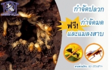 โปรโมชั่น: คุ้ม 2 ชั้น! กำจัดปลวกราคาถูกใจ ฟรี! กำจัดมดและแมลงสาบ โปรโมชั่น: คุ้ม 2 ชั้น! กำจัดปลวกราคาถูกใจ ฟรี! กำจัดมดและแมลงสาบ
